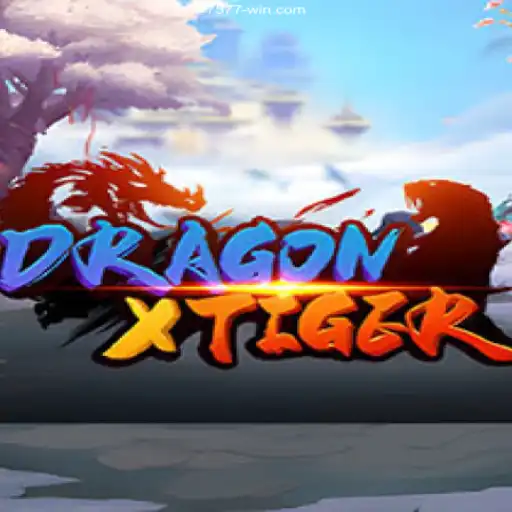Exploring the Dynamic World of DragonXTiger